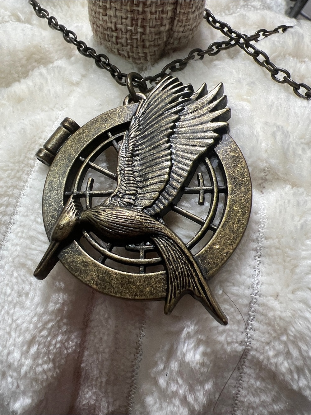 Hunger games Catching Fire necklace w/Secret Quote